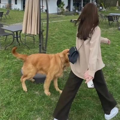 巴黎妇人